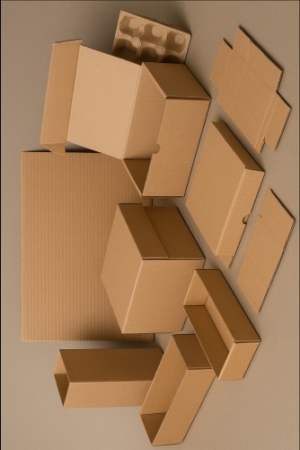 درباره کارتن سازی مهر پارسه